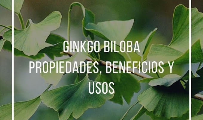 PROPIEDADES, BENEFICIOS Y USOS DEL GINKGO BILOBA