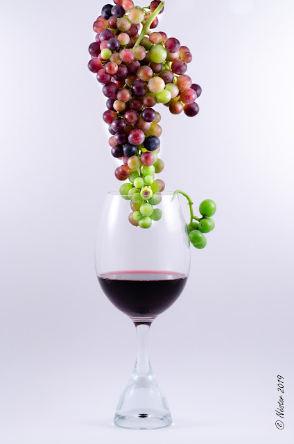 Copa de vino de Rioja