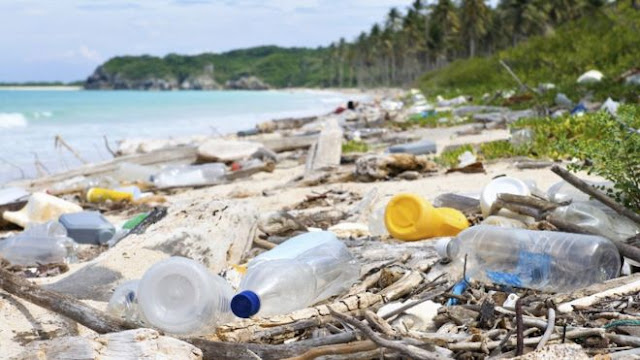 #Trashtag: La sfida virale che sta ripulendo il globo