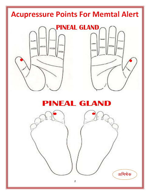 मानसिक स्थिति के लिए एक्यूप्रेशर बिंदु (Acupressure Points For Memtal Alert) Mind-मस्तिष्क