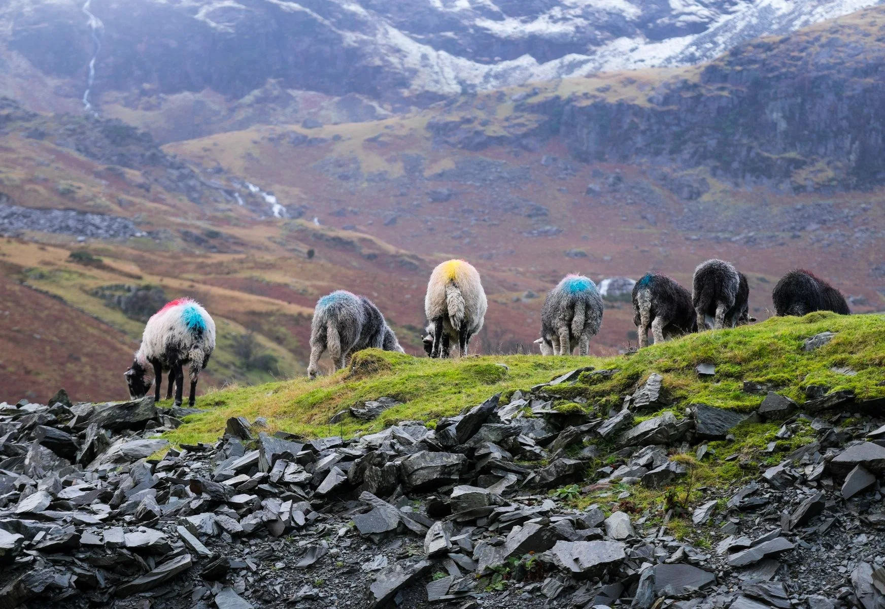 Lake District National Park 4