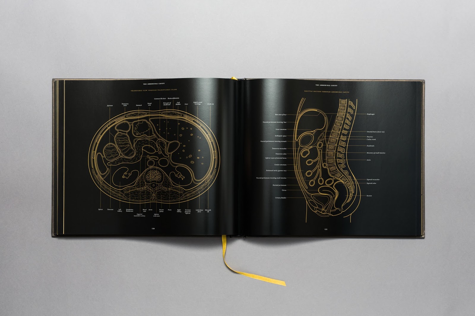 http://morbidanatomy.bigcartel.com/product/anatomy-in-black-by-emily-evans-preorder