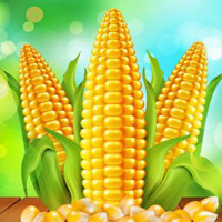 WOW Escape Giant Corn Land Escape