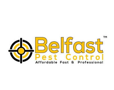 Pest Control In Belfast  | Belfast Pest Control