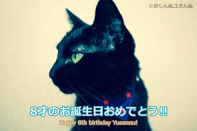 Happybirthdayユさんぬ18 愛猫ユさんぬと一緒の誕生日 記念日パーティー おじんぬユさんぬの まいにち鼻チュッチュ