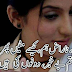 Sad Poetry in Urdu is the Healthy Way To Express Your Emotional Pain