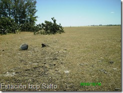 Estación bcp Salto