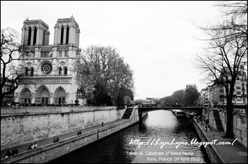 Catedrale of Notre Dame