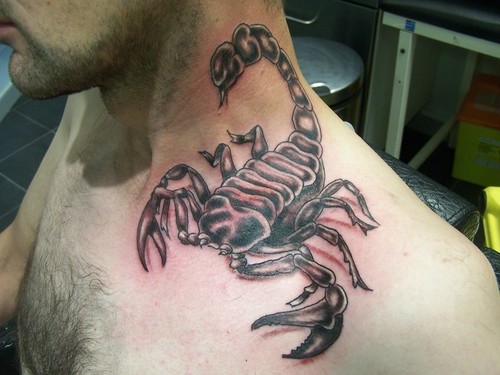 Here we have some great photos of scorpion tattoos from you to browse