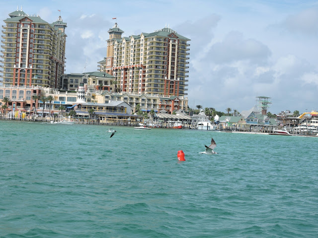 Family Reunion Fun in Destin Florida  via www.productreviewmom.com