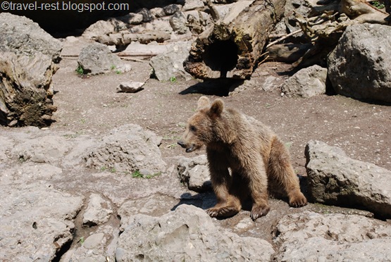 TierPark