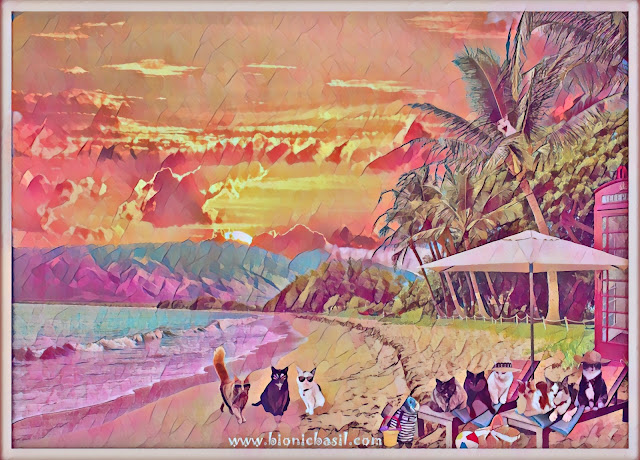 The B Team's Hawaii Beach Selfie ©BionicBasil® Caturday Art Blog Hop