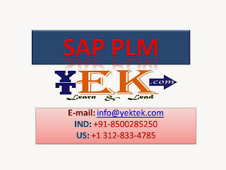 SAP PLM Training