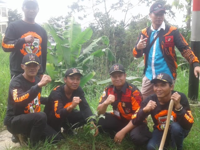 KNPI dan OKP Pemuda Pancasila Adakan Penanaman Pohon