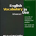 Cambridge - English Vocabulary In Use - Advanced