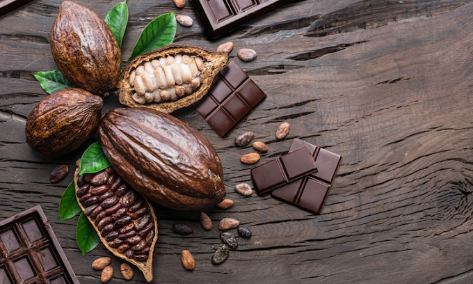  FILIERE CACAO | Madagascar muscle ses ambitions