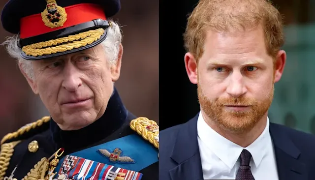 Key Sign Revealed in Prince Harry’s Potential Reconciliation with King Charles