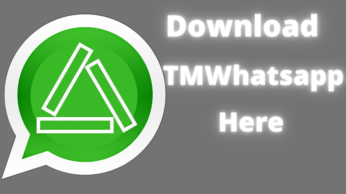 Download Latest TMWhatsApp APK v7.76 (TMWA)