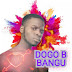 AUDIO | Dogo B Bangu - Nitoke Vipi | Download