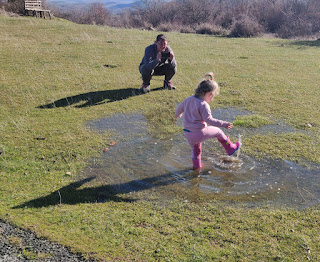 Rosie splashing and having GREAT fun!