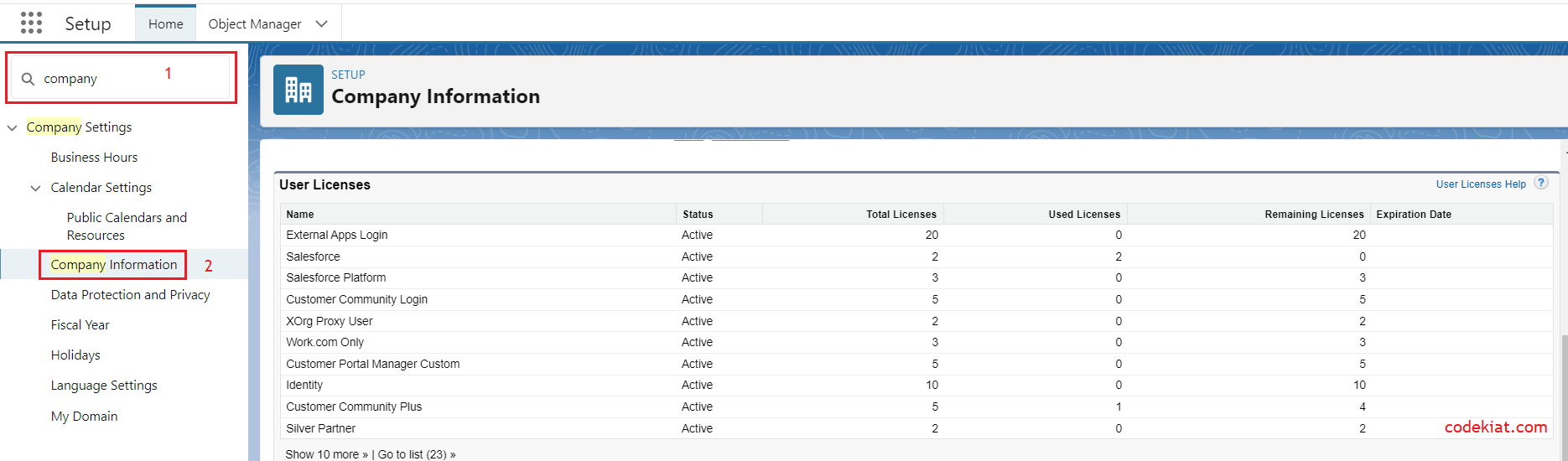 Company information in the salesforce org