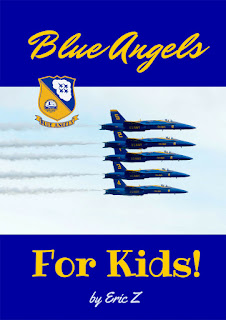 Blue angels book cover pic