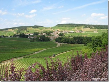 Bourgogne