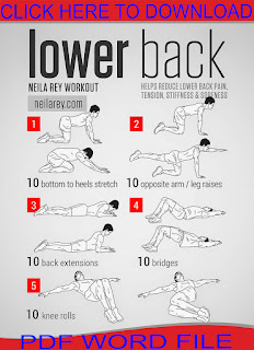 Lower Back Exercises