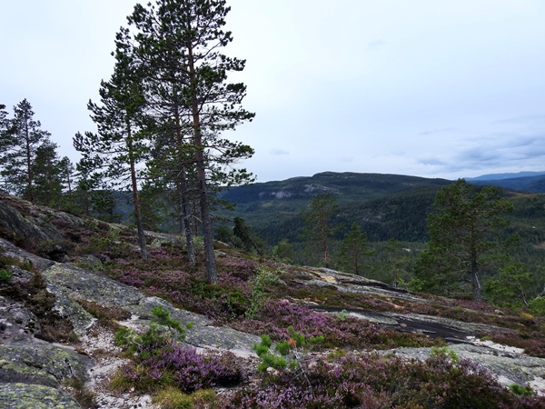 andersnatten eggedal sigdal