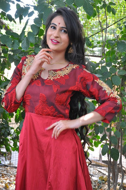 Priya Choudhary Photo In Red Long Dress