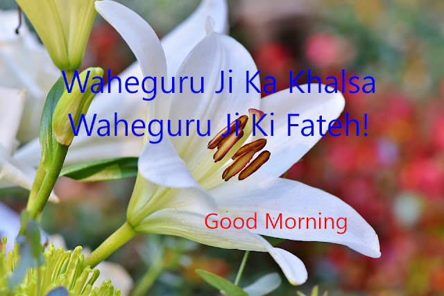 Waheguru Ji Ka Khalsa Waheguru Ji Ki Fatehi Good Morning.