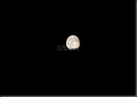 _DSC0413