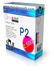 mycybersoft p2