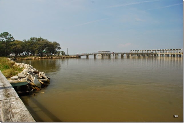 03-21-15 B Jekyll Island (5)