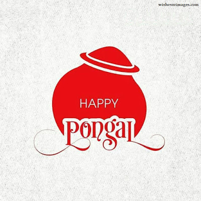 Happy Pongal Images For Whatsapp