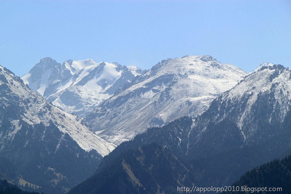2010-09-04__13_29_3430__herman