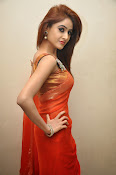 Sony Charista Glamorous in Saffron saree-thumbnail-45