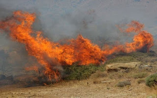 ΜΕΓΑΛΗ φωτιά σε αγροτοδασική έκταση στην Ανατολική Μάνη