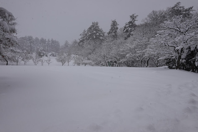 鳥取県西伯郡大山町赤松 パターゴルフコース 鳥取県道24号米子大山線からの眺望