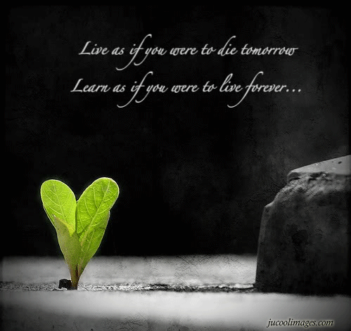 quotes about broken hearts. quotes on roken heart in
