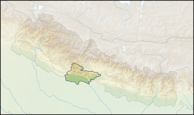 Zone des cartes manquantes