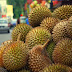 Kisah Sedih Tentang Durian - Cikgu Syafik.