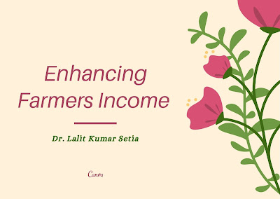 Enhancing Farmers Income
