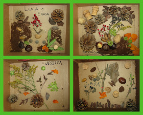 photo of: Reggio Emilia nature collages in shadow box: art project