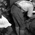 Brief history of shell shocked?