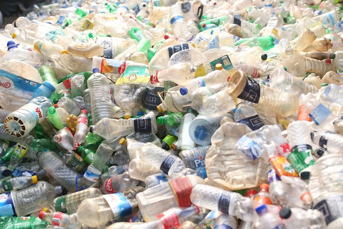 Monday numbers: Earth Day 2024 and the environmental challenges posed by plastics