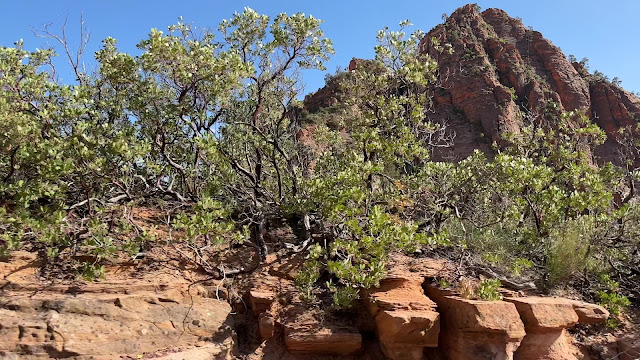 Zion National Park