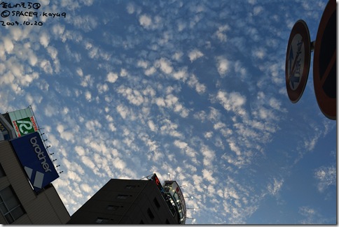 DSC_9544_171r