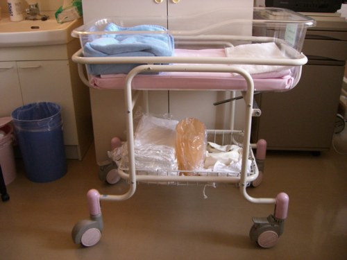 Bassinet Hospital