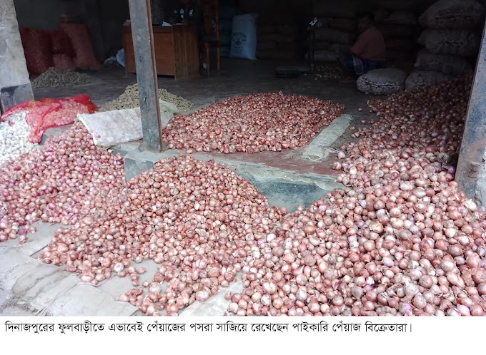 ফুলবাড়ীতে এক সপ্তাহের ব্যবধানে পেঁয়াজের দাম কমেছে